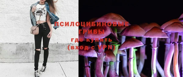 ПСИЛОЦИБИНОВЫЕ ГРИБЫ Аркадак